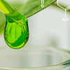 Аватар для Phytopharmacy