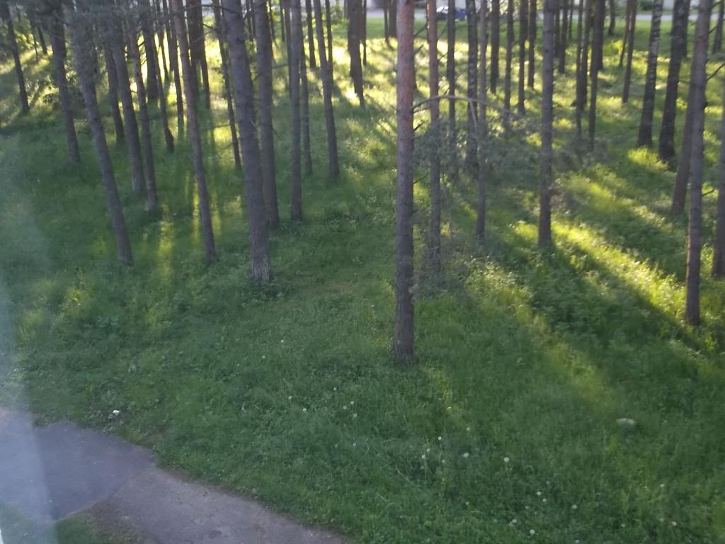 DSCF1016
