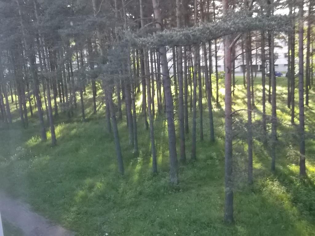 DSCF1017