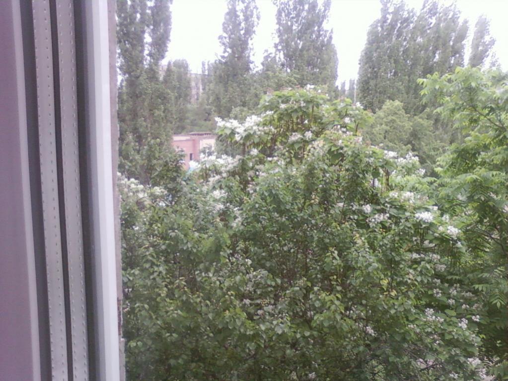 Начало июня