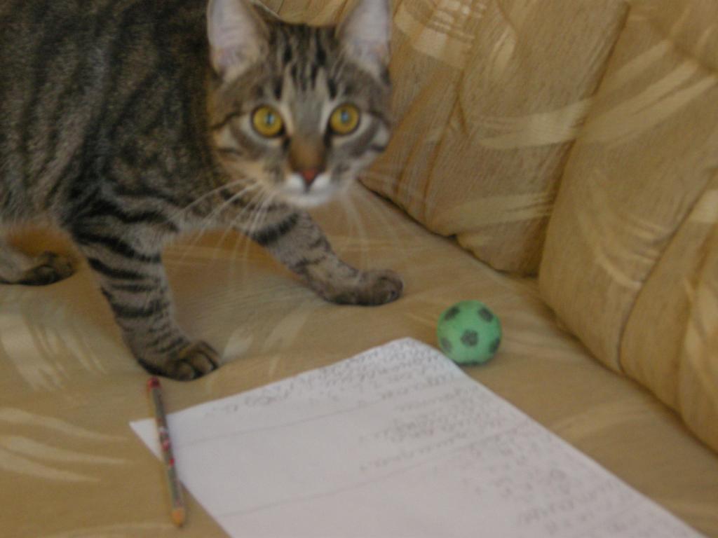 12012702