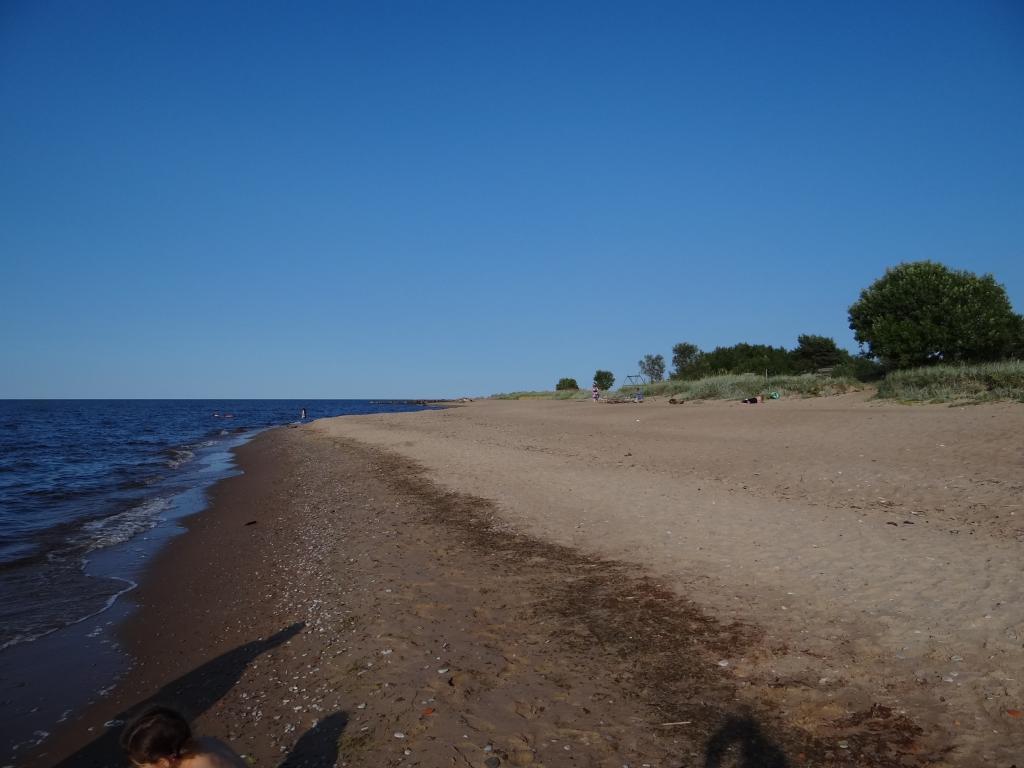 DSC01586