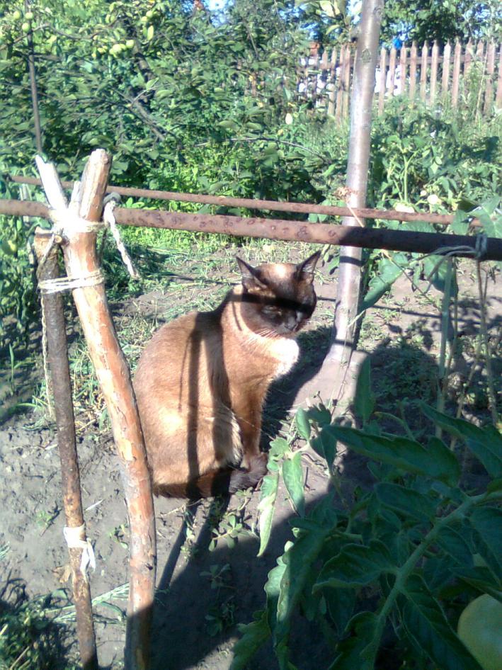 Муська, 2010 (2)
