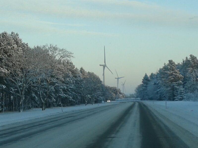 Дорога Таллинн - Нарва - Санкт-Петербург. -20. Ветряки, деревья в снегу (который выпал уже с неделю назад), практически пусто.